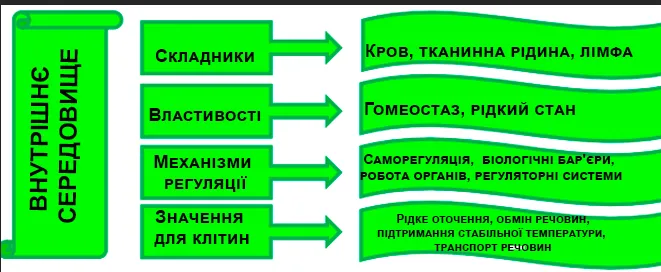 Інтелект-карта Внутрішнє середовище