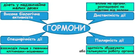 Чому гормони – біологічно активні речовини? Опис з використанням схеми «Тетрада»