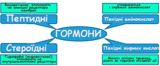 Самонавчання. Регулятивне завдання. Графічний організатор. Схема «Тетрада»