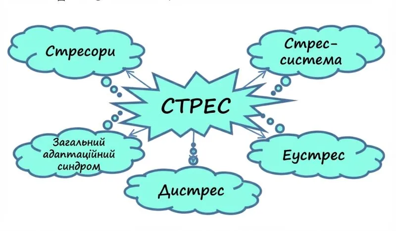 СТРЕС сутність змістових елементів схеми