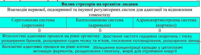 ІНФОРМУВАННЯ про відповідь організму на вплив стресорів