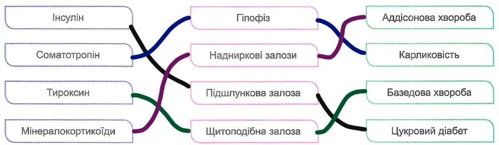 з’єднайте гормон, залозу та хворобу