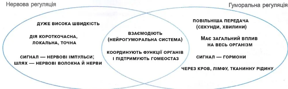 діаграму Венна для порівняння нервової та гуморальної регуляції
