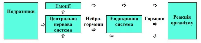 Інфографіка Механізм виникнення емоцій