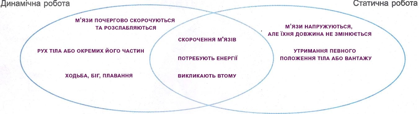 Складіть діаграму Венна для порівняння динамічної та статичної роботи