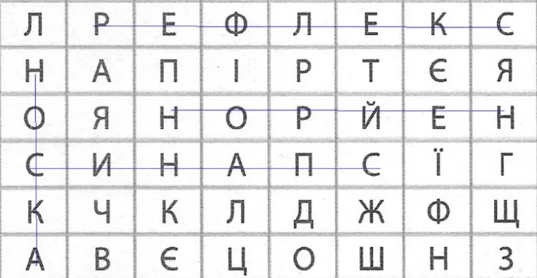 знайдіть запропоновані терміни й позначте їх