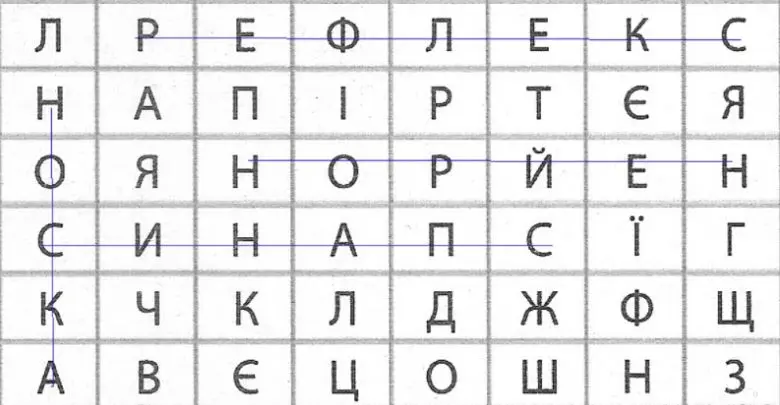знайдіть запропоновані терміни й позначте їх