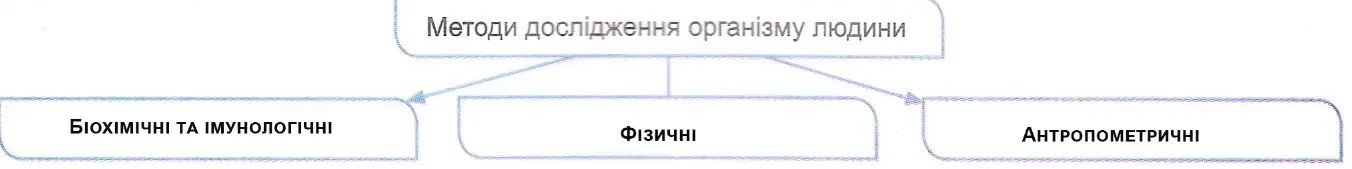 схема методи дослідження організму людини