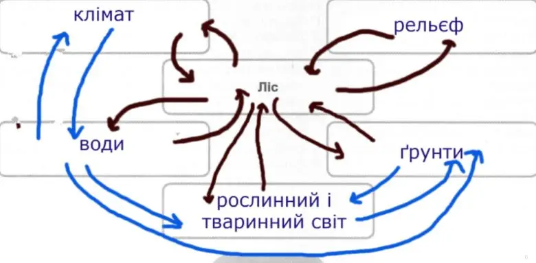 Складіть схему компонентів лісового природного комплексу