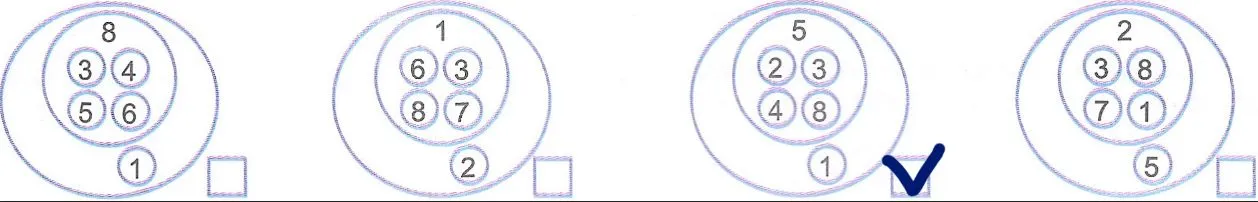 коло Ейлера, у якому правильно змодельовано структури тваринної клітини