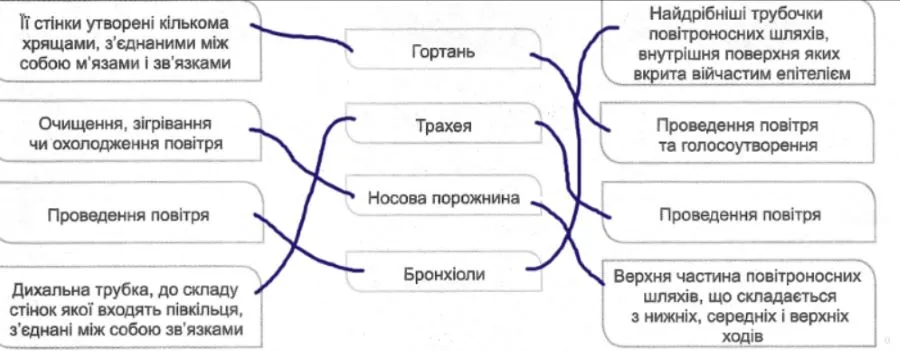 відповідність між характеристикою органа дихання, його функцією та назвою