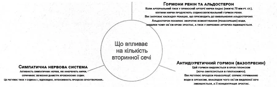 Опрацюйте інформацію про нейрогуморальну регуляцію процесів сечоутворення та сечовиділення § 45 підручника. Доповнена схема