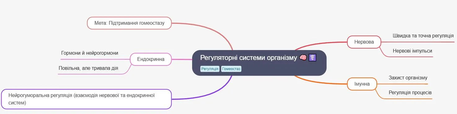 Регуляторні системи організму. схема