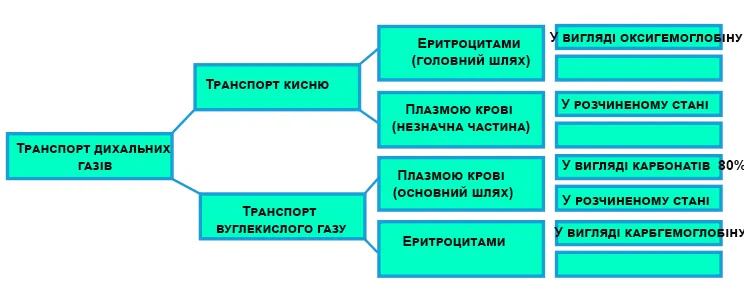 Транспорт газів кров’ю