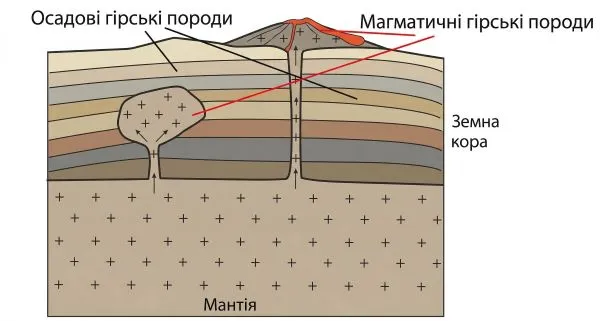 Підпиши на малюнку, де утворюються осадові гірські породи, а де — магматичні