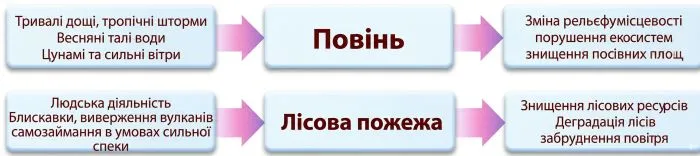 Встанови, що є причиною, а що — наслідком цих явищ. Зобрази схематично