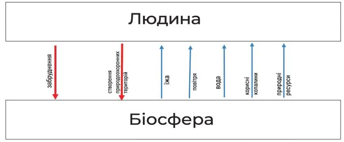 схема взаємозв’язків між людиною і біосферою
