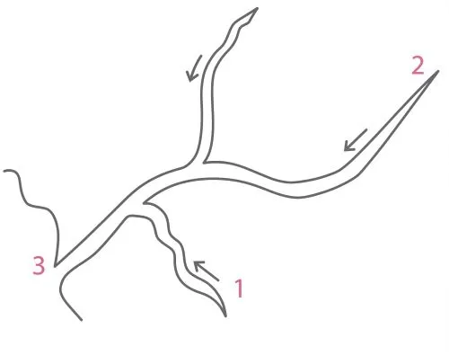 На малюнку познач цифрами: ліву притоку (1), витік (2), гирло (3).