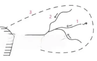 На малюнку познач цифрами: головну річку (1), праву притоку (2), межу басейну річки (3).