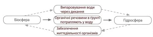 Взаємозв’язок оболонок Землі