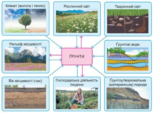 Чинники ґрунтоутворення