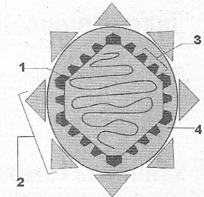Підпишіть складові будови такого вірусу