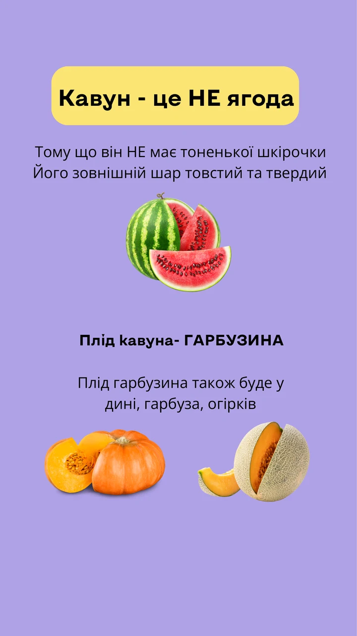 Кавун — це гарбузина