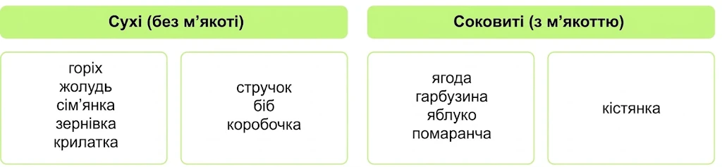 Схема класифікації: сухі та соковиті плоди