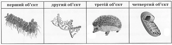 Ілюстрація до завдання 1