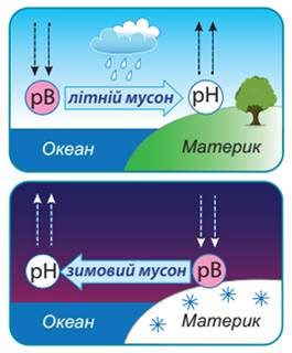 графічну модель мусонів