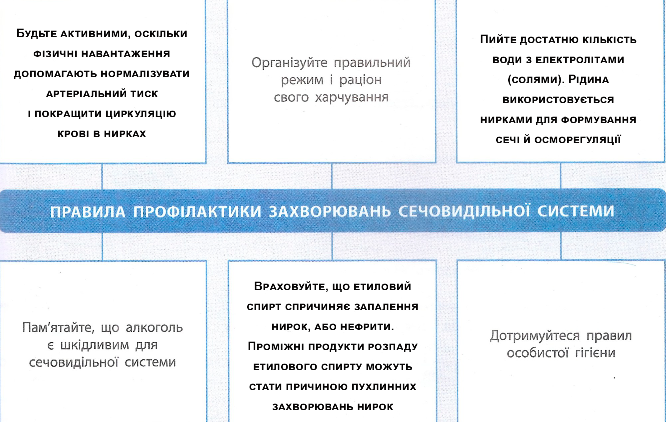 правила профілактики захворювань сечовидільної системи